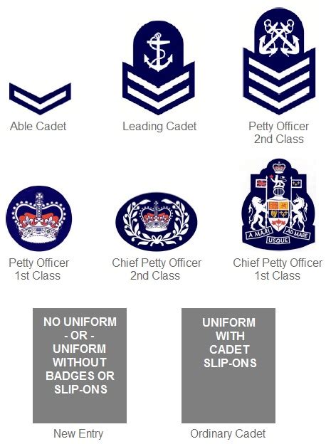 Navy League Cadet Rank Structure – Parkland Cadets