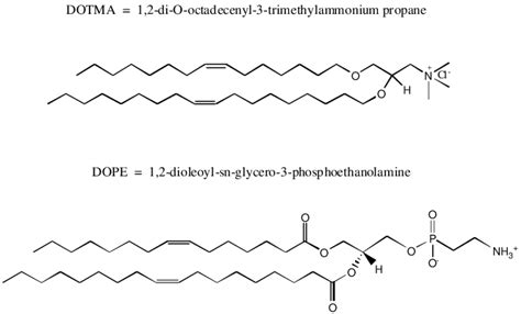 Chemical Structure Of Dotma And Dope Lipids Download Scientific Diagram