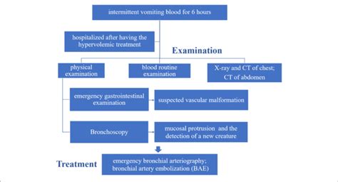 Timeline Of The Treatment Process Of The Patient Download Scientific Diagram