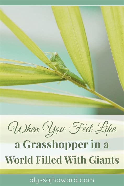 When You Feel Like A Grasshopper In A World Filled With Giants How Are You Feeling Faith In