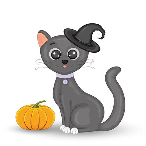 Gato Con Sombrero De Bruja Negro Con Calabaza Bruja Gato Halloween