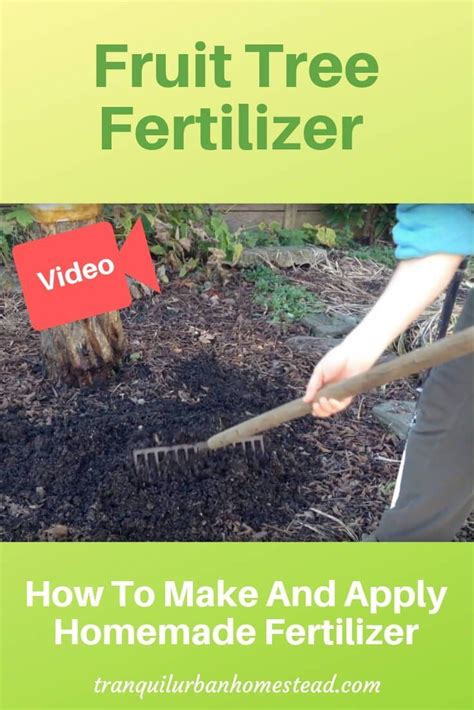 Follow Along With Me As I Make And Apply Homemade Fruit Tree Fertilizer