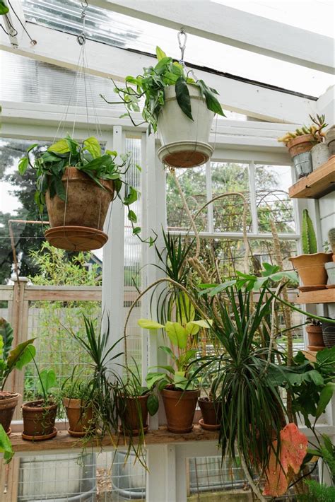 Creative Greenhouse Garden Ideas You Need To Try Today