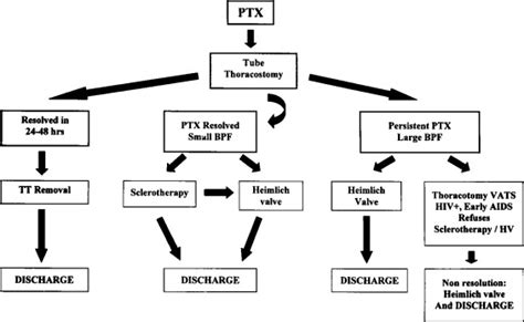 Heimlich Valve In The Management Of Pneumothorax In Patients With