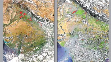 Nasa Satellite Images Show Dip In Crop Burning Cases In Haryana And