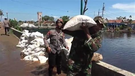 Banjir Rob Di Pekalongan Tanggul Sungai Yang Jebol Ditambal Karung Pasir