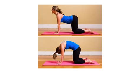 How To Do Cat To Cow Pose Popsugar Fitness