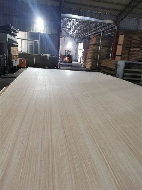 White Recon Poplar Wood Face Veneer Sheet Face Wood Panel For Plywood