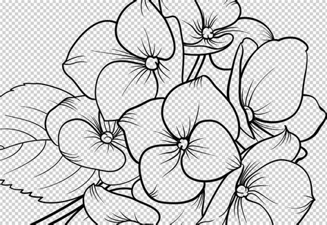 Hydrangea Svg Png Hydrangea Plant Floral Svg Black And Etsy