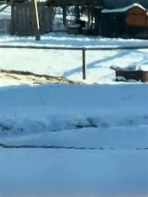 M Nner An Einem Tag Erotik Model Lily Phillips Kriegt Hilfe Bei Sex Marathon