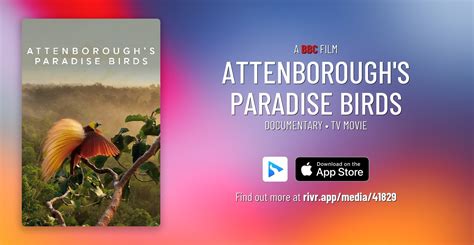 Discover Panama’s Unseen Species Through Attenborough’s Lens