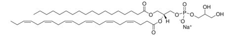 18 0 22 6 PG 1 Stearoyl 2 Docosahexaenoyl Sn Glycero 3 Phospho 1 Rac