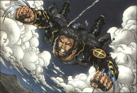 Wolverine Comics - Wolverine Photo (3508103) - Fanpop