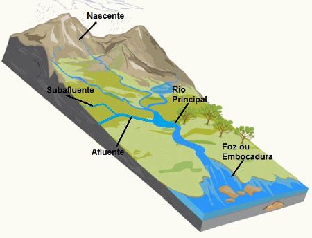 Foz Afluente Estu Rio E Leito Prepara Enem