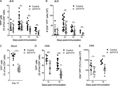 Stat Deletion Reduces Effector Th Cell Numbers In Vivo Th Stat