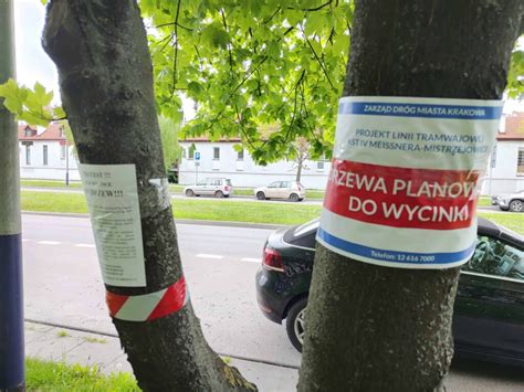 Tramwaj do Mistrzejowic Protest przeciwko wycince drzew ZDJĘCIA