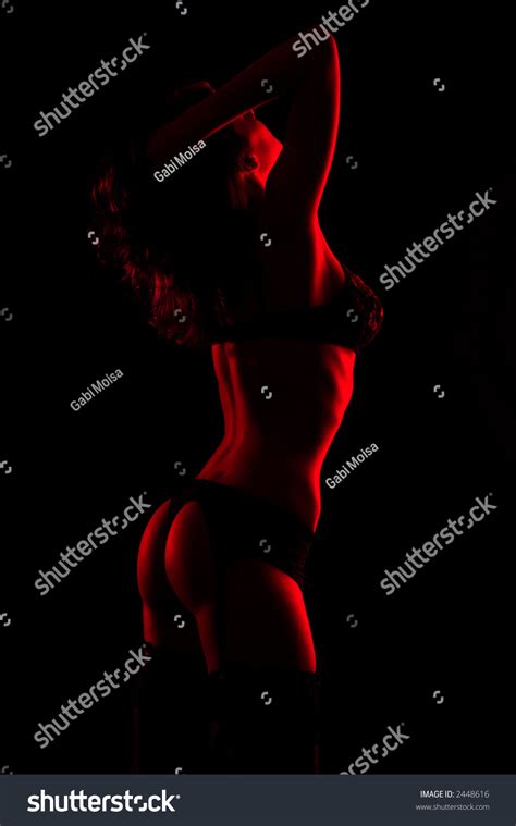 Sexy Lingerie Model Posing Studio Stock Photo Shutterstock