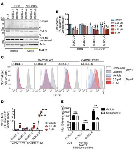 Jci Specific Covalent Inhibition Of Malt Paracaspase Suppresses B