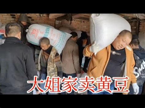 大姐家卖黄豆你一袋我一袋扛的贼有劲农村院里一片欢声笑语 YouTube