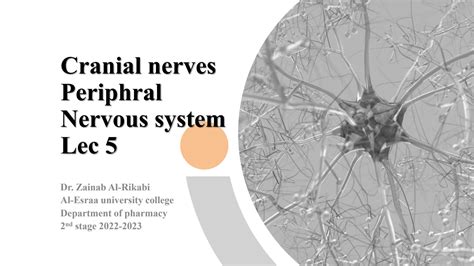 SOLUTION: Cranial nerves periphral nervous system - Studypool