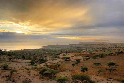 Ethiopian National Parks | Blessed Ethiopia tours