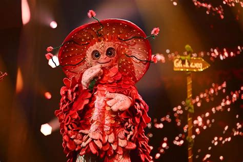 The Masked Singer Ruth Moschner Enttarnt Waschbär Trotz Absurder