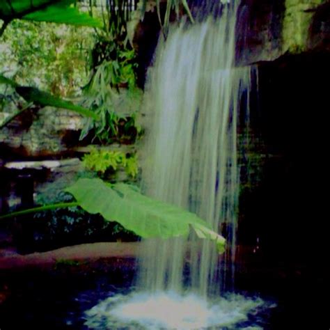 Waterfall at Opryland Hotel. Gorgeous. | Opryland hotel, Waterfall ...