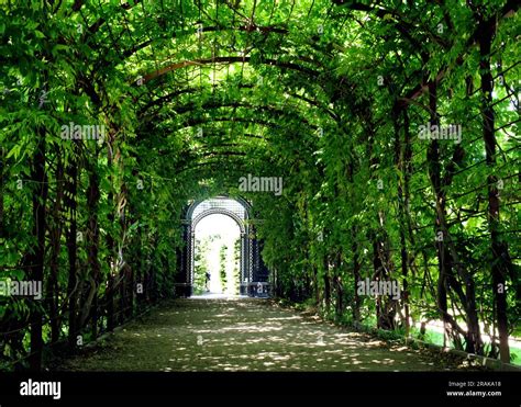 Arched Arbor Pathway In Soft Green Yellow And Brown Colors Gravel