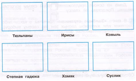 ГДЗ Окружающий мир 4 класс рабочая тетрадь №1 Плешаков, Новицкая. В ...