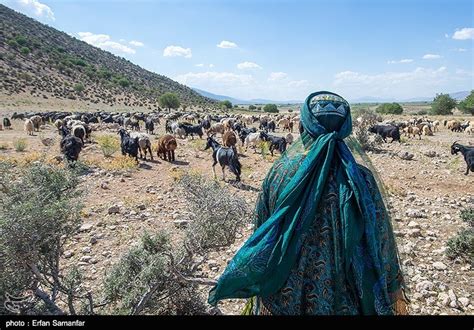 Photos: Qashqai people: meeting authentic nomads of Iran