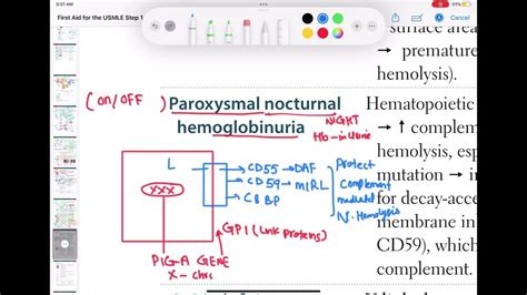 Paroxysmal Nocturnal Hemoglobinuria Haematology 48 First Aid Usmle Step 1 In Urdu Hindi Youtube