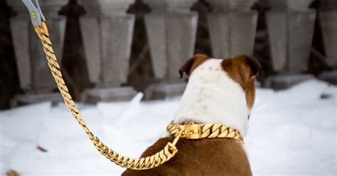 Luxury Gold Stainless Steel Dog Collars And Leashes Big Dog Chains