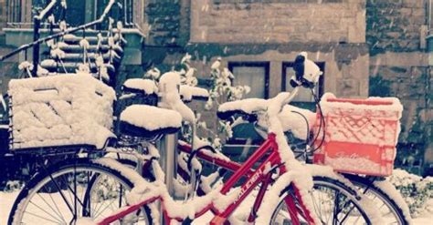 Snow day: 15 beautiful shots from Montreal's first snowfall of the season | Lifestyle