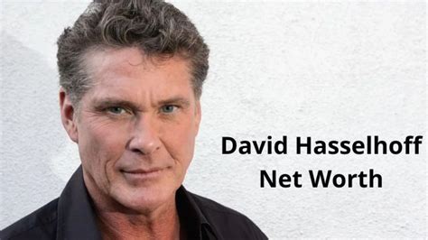 David Hasselhoff Net Worth (2023): How Did He Lose His Money