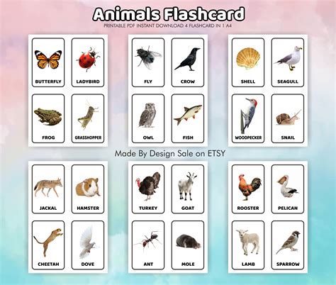 Animals Printable Flashcards, Printable Cards Preschool, Animals Cards ...