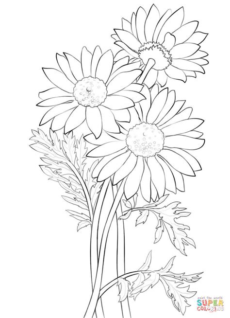 Gerber Daisy Drawing At Getdrawings Free Download