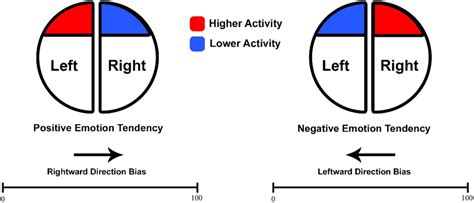 Frontiers Differential Roles Of Brain Oscillations In Numerical