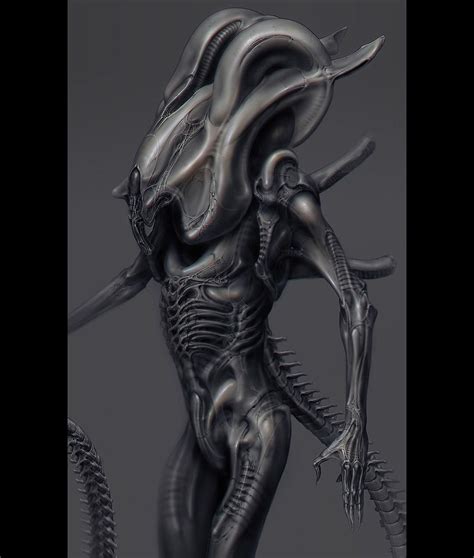 Xenomorph Concept Art Anatomy