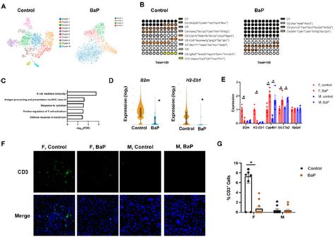 Ijms Special Issue Immunity And Inflammation In Health And Disease