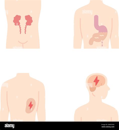 Body Parts Icons Set Cartoon Cut Out Stock Images Pictures Alamy