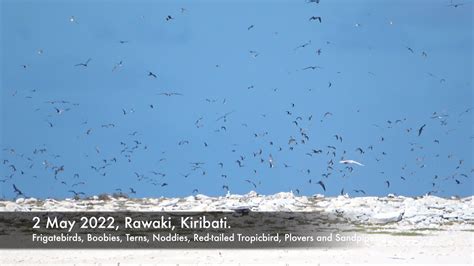 One Day In Rawaki Island Kiribati Youtube