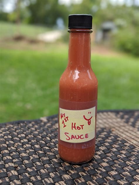 Just Made My First Hot Sauce R Hotsauce