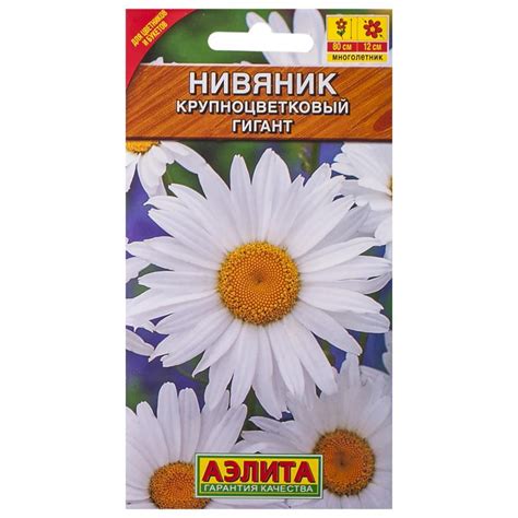 Нивяник Гигант крупноцв. (А)