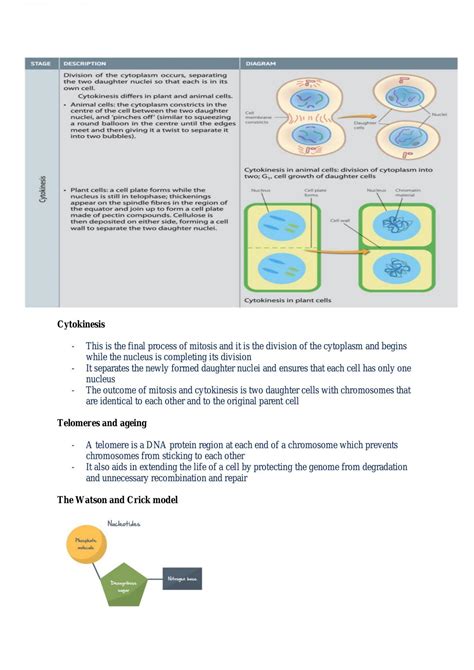 Module 5: Heredity Notes | Biology - Year 12 HSC | Thinkswap