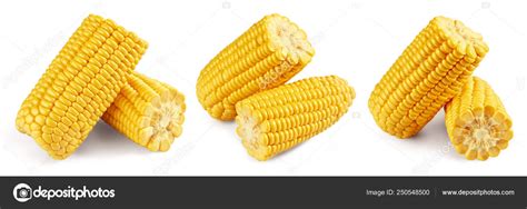 Corn Clipping Path Isolated On White Background Stock Photo By ©maks