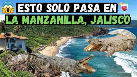 PLAYA LA MANZANILLA JALISCO YouTube