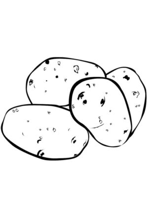 Disegni Di Patate Da Colorare E Stampare Gratis