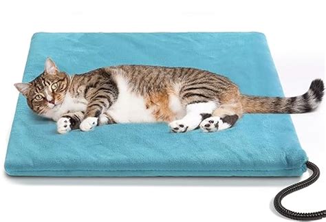 Outdoor Cat Heating Pad The 15 Best Products Compared Wild Explained