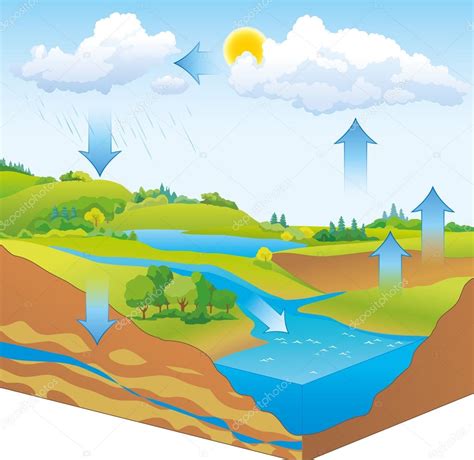 Representación esquemática vectorial del ciclo del agua en la