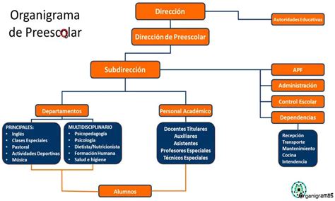 Organigrama Escuela Preescolar Funci N Caracter Sticas Estructura 18135